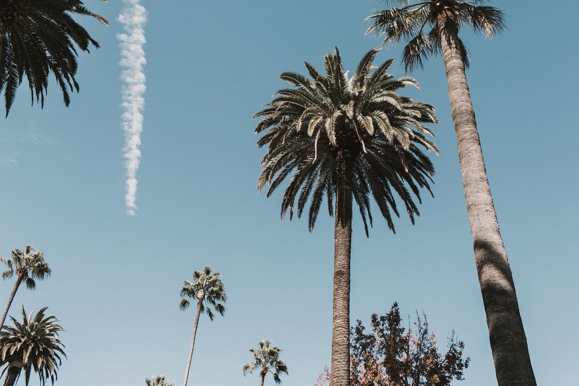 Los Angeles County